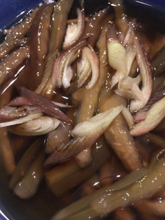 簡単 さっぱりなすの冷つゆ-レシピのメイン写真