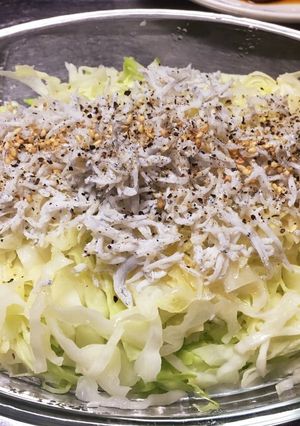 お皿一枚で、無限キャベツ。-レシピのメイン写真