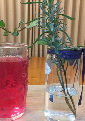 赤紫蘇ジュース(→残り葉は紫蘇味噌へ)-レシピのメイン写真