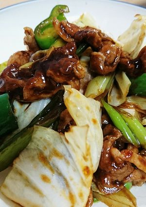 本気の回鍋肉-レシピのメイン写真