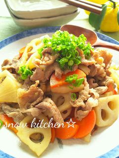 豚肉と根菜の中華風炒め物-レシピのメイン写真