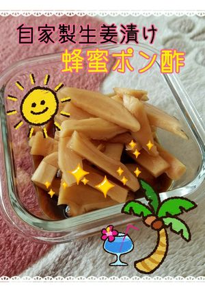 新生姜の蜂蜜ポン酢漬-レシピのメイン写真