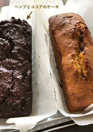 ヘンプと大豆とココアの山ケーキ-レシピのメイン写真