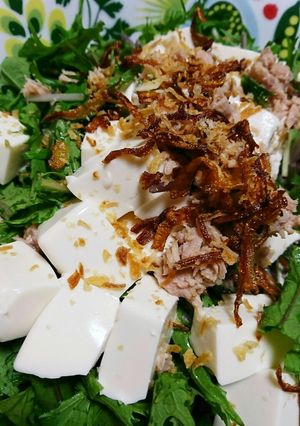 水菜と豆腐の簡単サラダ-レシピのメイン写真
