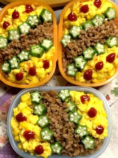 そぼろ弁当-レシピのメイン写真