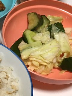 キャベツときゅうりの浅漬け-レシピのメイン写真