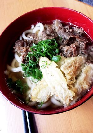 ごぼう天肉うどん-レシピのメイン写真