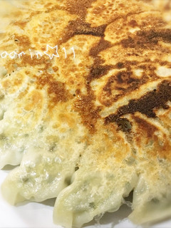 うちの餃子!-レシピのメイン写真