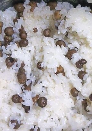むかごご飯-レシピのメイン写真