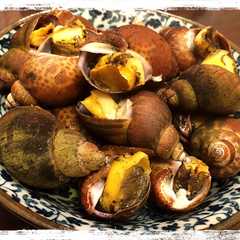 A picture of コリコリ美味しいつぶ貝の塩茹で.