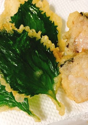 薄力粉で卵なしの天ぷら〜大葉と鰹の天ぷら-レシピのメイン写真