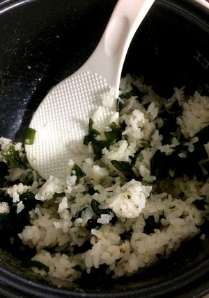 わかめごはん-レシピのメイン写真