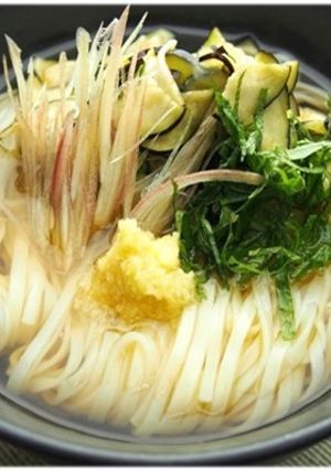 高知名産なすとみょうがのサッパリうどん-レシピのメイン写真