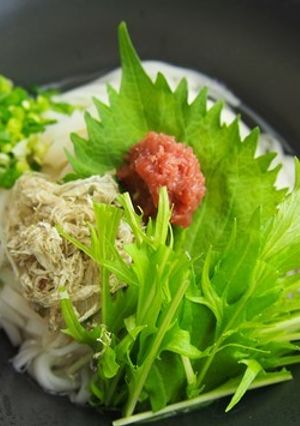 水菜と梅肉の冷やしかけうどん-レシピのメイン写真