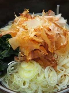 かつお節冷やしかけうどん-レシピのメイン写真