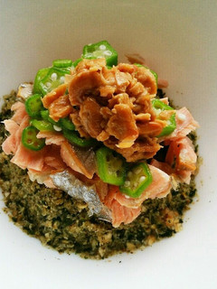 犬ご飯 ねばねば鮭ごはん-レシピのメイン写真