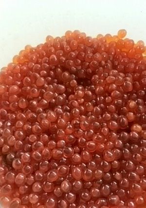 我が家のいくらの醤油漬け(∩´∀`∩)-レシピのメイン写真