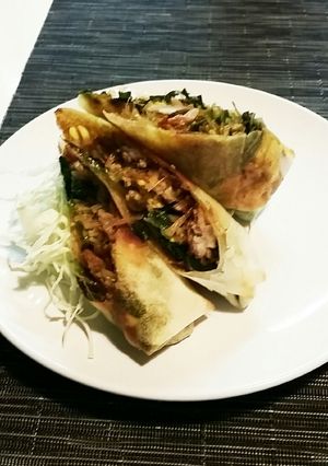 カレー焼き春巻き 油少な目-レシピのメイン写真