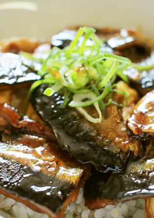 パパでもできる!さんま蒲焼丼!だし茶漬!-レシピのメイン写真