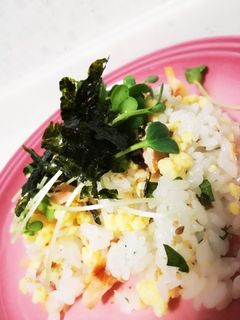 簡単☆まぜるだけ☆鮭の混ぜ寿司☆-レシピのメイン写真