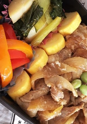 9／14お弁当-レシピのメイン写真