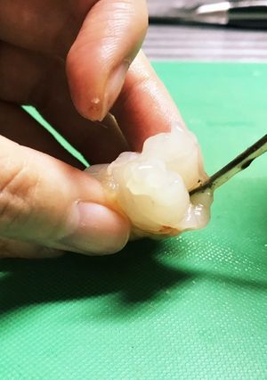 摘むだけ♪ぴろーんとえびの背ワタ取り-レシピのメイン写真