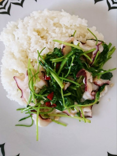 タコと三つ葉のナンプラーご飯-レシピのメイン写真