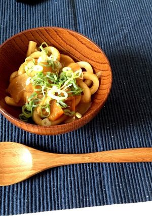残り物の味噌汁とカレーで絶品カレーうどん-レシピのメイン写真