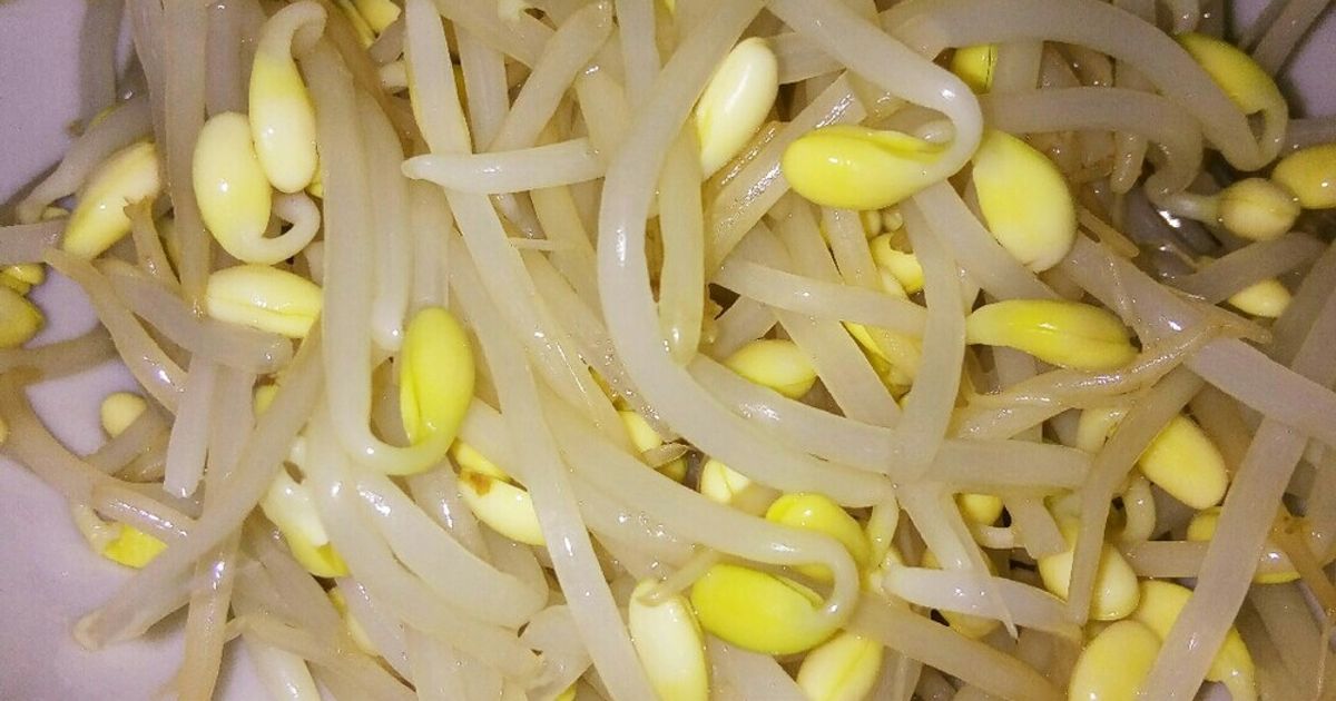 豆もやしŧ‹