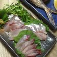 トビウオのお刺身(さばき方)