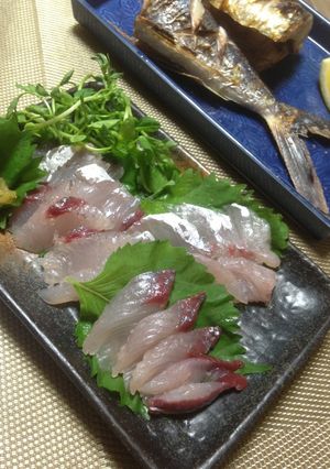 トビウオのお刺身(さばき方)-レシピのメイン写真