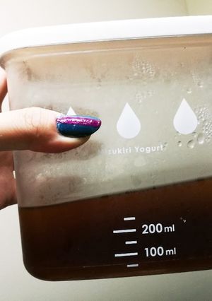 ホエイでさっぱり☆優しい味の天つゆ☆-レシピのメイン写真