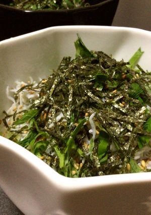 温玉しらす丼-レシピのメイン写真