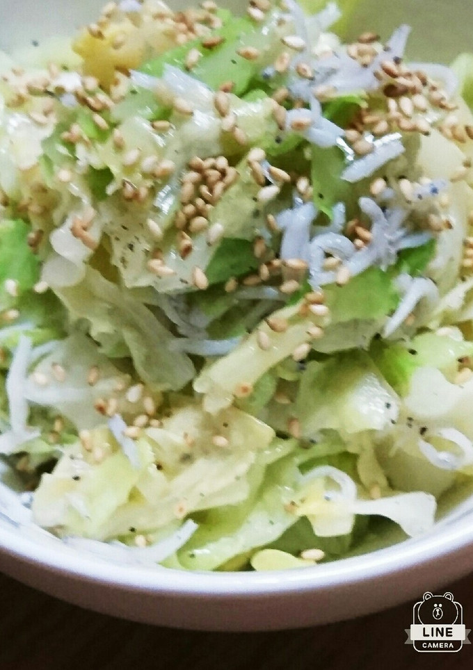 旨い(*^^*)しらすとキャベツ和え物❣-レシピのメイン写真