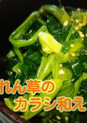 簡単★ホウレン草のカラシ和え-レシピのメイン写真