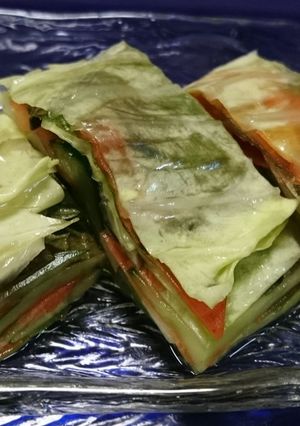 野菜の重ね漬物-レシピのメイン写真