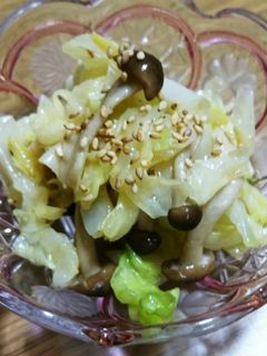 キャベツとしめじのナムル~(o^^o)-レシピのメイン写真