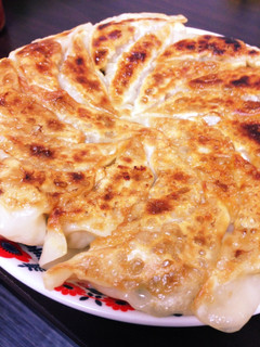 餃子野菜多め-レシピのメイン写真