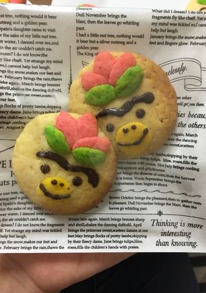 はなかっぱクッキーHKMで簡単☆-レシピのメイン写真
