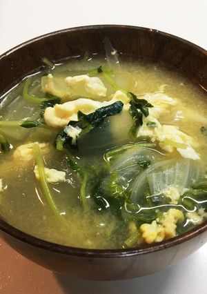 冬瓜と豆苗のお味噌汁-レシピのメイン写真