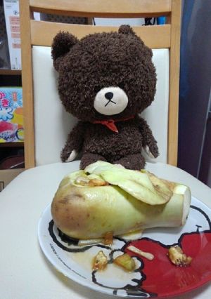 白なすのグラタン☆★☆＊☆★＊-レシピのメイン写真
