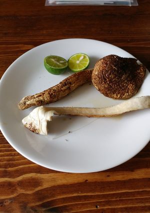 【マズい】焼き松茸-レシピのメイン写真