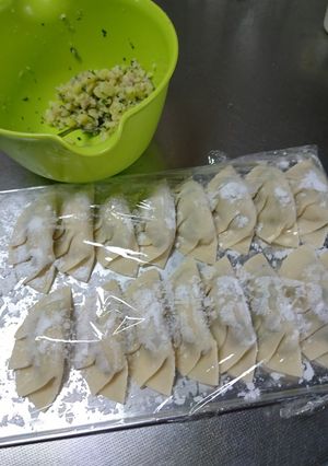 変わり餃子♪-レシピのメイン写真