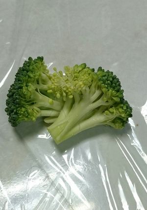 お弁当用のブロッコリー-レシピのメイン写真