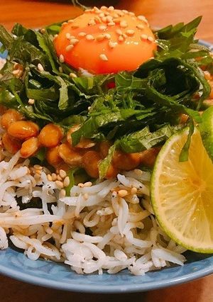 滋味ごはん＊栄養満点♡納豆しらす丼-レシピのメイン写真