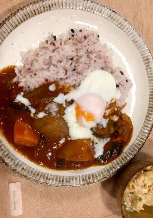 コストコ トマトソース入り定番カレー-レシピのメイン写真