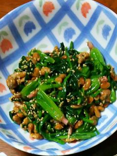 ほうれん草のわさび納豆あえ-レシピのメイン写真