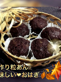 手作り大好き♡自家製粒あんdeおはぎ♪-レシピのメイン写真