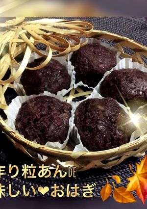 手作り大好き♡自家製粒あんdeおはぎ♪-レシピのメイン写真