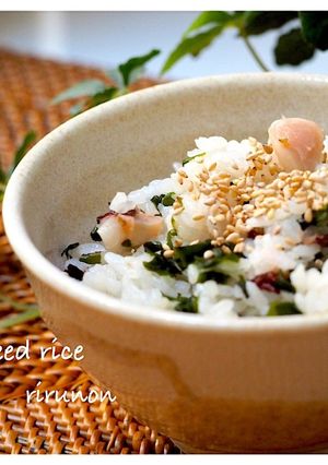 わかめご飯♡タコ入り!懐かしい給食♡-レシピのメイン写真